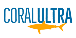 Criar Loja Online Gr�tis